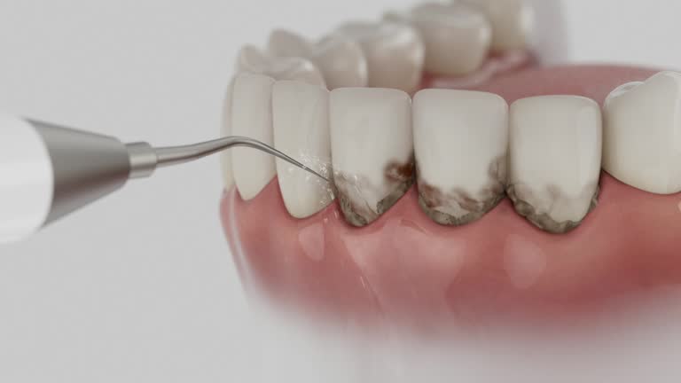 Reliable Dental contractor in Sherwood, WI by Dentist Open Now